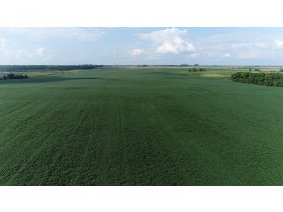 Property photo 37 - LAND AUCTION 736+/- ACRES OFFERED IN 14 TRACTS IN MONTGOMERY COUNTY, ILLINOIS