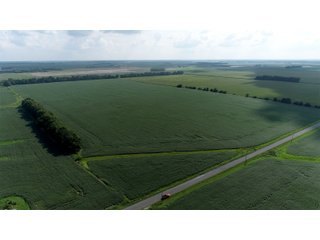 Property photo 38 - LAND AUCTION 736+/- ACRES OFFERED IN 14 TRACTS IN MONTGOMERY COUNTY, ILLINOIS
