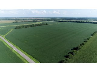 Property photo 39 - LAND AUCTION 736+/- ACRES OFFERED IN 14 TRACTS IN MONTGOMERY COUNTY, ILLINOIS