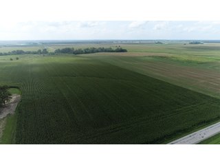 Property photo 4 - LAND AUCTION 736+/- ACRES OFFERED IN 14 TRACTS IN MONTGOMERY COUNTY, ILLINOIS