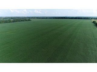 Property photo 40 - LAND AUCTION 736+/- ACRES OFFERED IN 14 TRACTS IN MONTGOMERY COUNTY, ILLINOIS