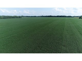 Property photo 41 - LAND AUCTION 736+/- ACRES OFFERED IN 14 TRACTS IN MONTGOMERY COUNTY, ILLINOIS