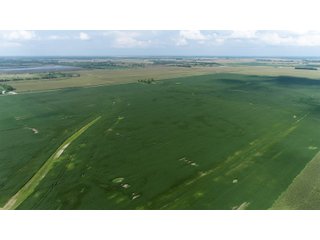 Property photo 43 - LAND AUCTION 736+/- ACRES OFFERED IN 14 TRACTS IN MONTGOMERY COUNTY, ILLINOIS