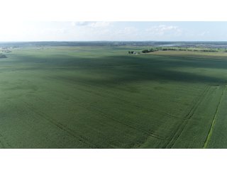 Property photo 44 - LAND AUCTION 736+/- ACRES OFFERED IN 14 TRACTS IN MONTGOMERY COUNTY, ILLINOIS