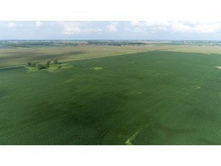 Property photo 45 - LAND AUCTION 736+/- ACRES OFFERED IN 14 TRACTS IN MONTGOMERY COUNTY, ILLINOIS
