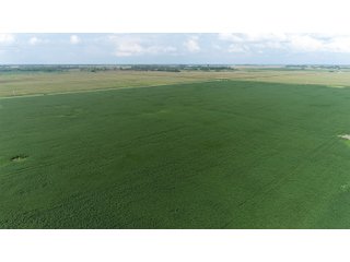 Property photo 46 - LAND AUCTION 736+/- ACRES OFFERED IN 14 TRACTS IN MONTGOMERY COUNTY, ILLINOIS