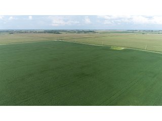 Property photo 47 - LAND AUCTION 736+/- ACRES OFFERED IN 14 TRACTS IN MONTGOMERY COUNTY, ILLINOIS