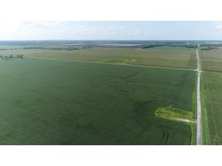 Property photo 48 - LAND AUCTION 736+/- ACRES OFFERED IN 14 TRACTS IN MONTGOMERY COUNTY, ILLINOIS