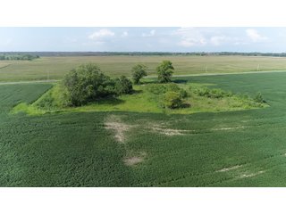 Property photo 50 - LAND AUCTION 736+/- ACRES OFFERED IN 14 TRACTS IN MONTGOMERY COUNTY, ILLINOIS