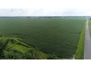 Property photo 52 - LAND AUCTION 736+/- ACRES OFFERED IN 14 TRACTS IN MONTGOMERY COUNTY, ILLINOIS
