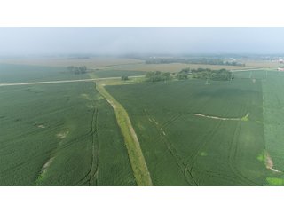 Property photo 56 - LAND AUCTION 736+/- ACRES OFFERED IN 14 TRACTS IN MONTGOMERY COUNTY, ILLINOIS