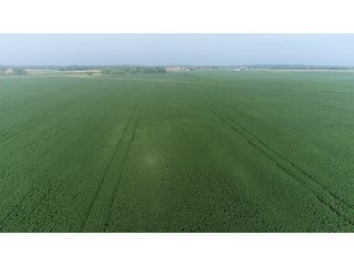 Property photo 57 - LAND AUCTION 736+/- ACRES OFFERED IN 14 TRACTS IN MONTGOMERY COUNTY, ILLINOIS