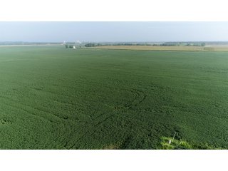 Property photo 58 - LAND AUCTION 736+/- ACRES OFFERED IN 14 TRACTS IN MONTGOMERY COUNTY, ILLINOIS