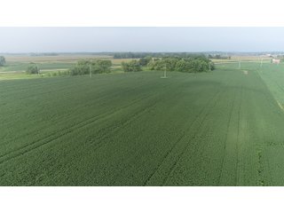 Property photo 59 - LAND AUCTION 736+/- ACRES OFFERED IN 14 TRACTS IN MONTGOMERY COUNTY, ILLINOIS