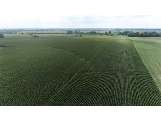 Property photo 6 - LAND AUCTION 736+/- ACRES OFFERED IN 14 TRACTS IN MONTGOMERY COUNTY, ILLINOIS
