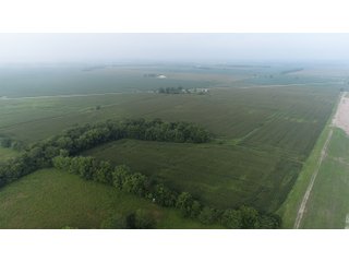 Property photo 63 - LAND AUCTION 736+/- ACRES OFFERED IN 14 TRACTS IN MONTGOMERY COUNTY, ILLINOIS