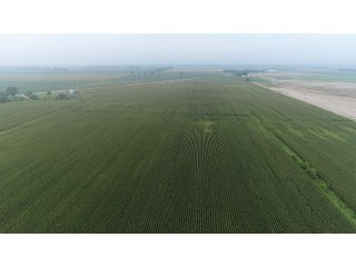 Property photo 64 - LAND AUCTION 736+/- ACRES OFFERED IN 14 TRACTS IN MONTGOMERY COUNTY, ILLINOIS