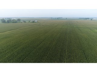 Property photo 65 - LAND AUCTION 736+/- ACRES OFFERED IN 14 TRACTS IN MONTGOMERY COUNTY, ILLINOIS