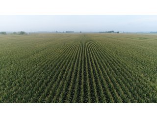 Property photo 66 - LAND AUCTION 736+/- ACRES OFFERED IN 14 TRACTS IN MONTGOMERY COUNTY, ILLINOIS