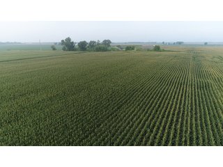 Property photo 67 - LAND AUCTION 736+/- ACRES OFFERED IN 14 TRACTS IN MONTGOMERY COUNTY, ILLINOIS