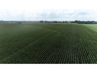 Property photo 7 - LAND AUCTION 736+/- ACRES OFFERED IN 14 TRACTS IN MONTGOMERY COUNTY, ILLINOIS