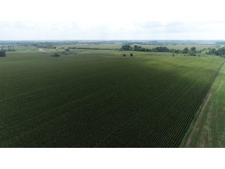 Property photo 8 - LAND AUCTION 736+/- ACRES OFFERED IN 14 TRACTS IN MONTGOMERY COUNTY, ILLINOIS