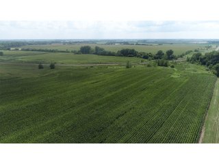 Property photo 9 - LAND AUCTION 736+/- ACRES OFFERED IN 14 TRACTS IN MONTGOMERY COUNTY, ILLINOIS