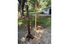 Property photo 110 - TIMED ONLINE ONLY PERSONAL PROPERTY AUCTION - ALLEN COUNTY, INDIANA