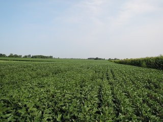 Property photo 1 - LAND AUCTION - 135+/- ACRES OFFERED IN 3 TRACTS IN DELAWARE COUNTY, INDIANA