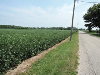 Property photo 6 - LAND AUCTION - 135+/- ACRES OFFERED IN 3 TRACTS IN DELAWARE COUNTY, INDIANA