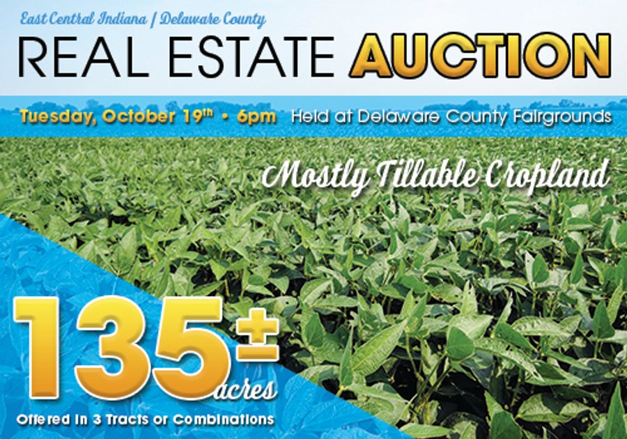 LAND AUCTION - 135+/- ACRES OFFERED IN 3 TRACTS IN DELAWARE COUNTY, INDIANA