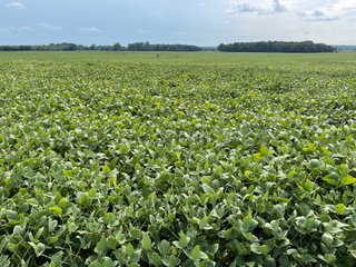 Property photo 45 - LAND AUCTION - 429+/- ACRES OFFERED IN 7 TRACTS IN NOBLE COUNTY, INDIANA