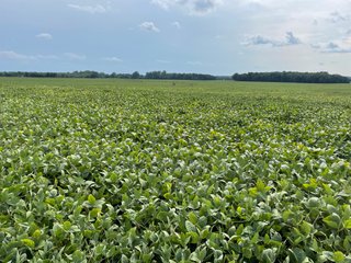 Property photo 38 - LAND AUCTION - 429+/- ACRES OFFERED IN 7 TRACTS IN NOBLE COUNTY, INDIANA