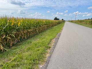 Property photo 41 - LAND AUCTION - 429+/- ACRES OFFERED IN 7 TRACTS IN NOBLE COUNTY, INDIANA