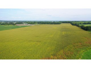 Property photo 2 - LAND AUCTION - 429+/- ACRES OFFERED IN 7 TRACTS IN NOBLE COUNTY, INDIANA