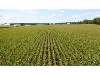 Property photo 22 - LAND AUCTION - 429+/- ACRES OFFERED IN 7 TRACTS IN NOBLE COUNTY, INDIANA