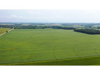 Property photo 27 - LAND AUCTION - 429+/- ACRES OFFERED IN 7 TRACTS IN NOBLE COUNTY, INDIANA