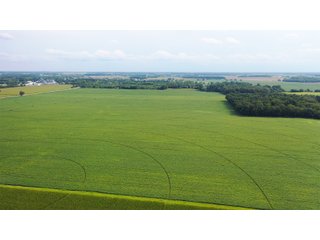 Property photo 28 - LAND AUCTION - 429+/- ACRES OFFERED IN 7 TRACTS IN NOBLE COUNTY, INDIANA