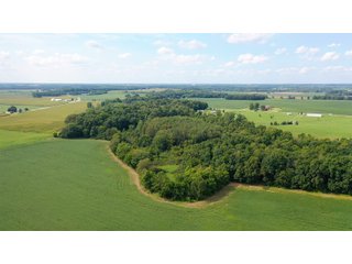 Property photo 29 - LAND AUCTION - 429+/- ACRES OFFERED IN 7 TRACTS IN NOBLE COUNTY, INDIANA