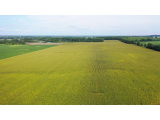 Property photo 3 - LAND AUCTION - 429+/- ACRES OFFERED IN 7 TRACTS IN NOBLE COUNTY, INDIANA
