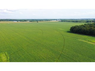 Property photo 33 - LAND AUCTION - 429+/- ACRES OFFERED IN 7 TRACTS IN NOBLE COUNTY, INDIANA