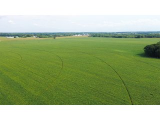 Property photo 34 - LAND AUCTION - 429+/- ACRES OFFERED IN 7 TRACTS IN NOBLE COUNTY, INDIANA