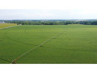Property photo 35 - LAND AUCTION - 429+/- ACRES OFFERED IN 7 TRACTS IN NOBLE COUNTY, INDIANA