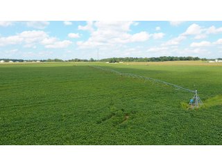 Property photo 36 - LAND AUCTION - 429+/- ACRES OFFERED IN 7 TRACTS IN NOBLE COUNTY, INDIANA
