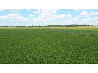 Property photo 37 - LAND AUCTION - 429+/- ACRES OFFERED IN 7 TRACTS IN NOBLE COUNTY, INDIANA