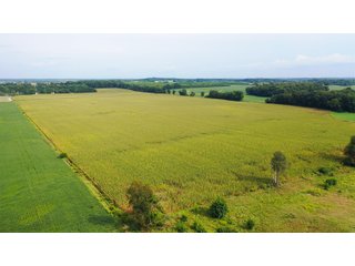 Property photo 4 - LAND AUCTION - 429+/- ACRES OFFERED IN 7 TRACTS IN NOBLE COUNTY, INDIANA