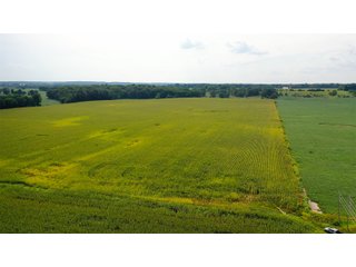 Property photo 5 - LAND AUCTION - 429+/- ACRES OFFERED IN 7 TRACTS IN NOBLE COUNTY, INDIANA