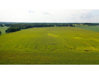 Property photo 6 - LAND AUCTION - 429+/- ACRES OFFERED IN 7 TRACTS IN NOBLE COUNTY, INDIANA