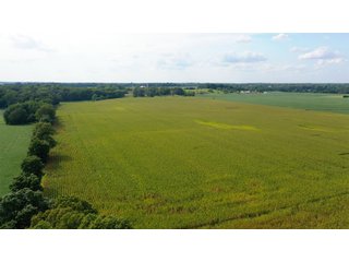 Property photo 7 - LAND AUCTION - 429+/- ACRES OFFERED IN 7 TRACTS IN NOBLE COUNTY, INDIANA