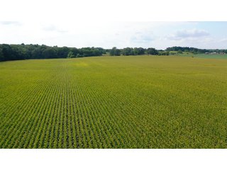 Property photo 8 - LAND AUCTION - 429+/- ACRES OFFERED IN 7 TRACTS IN NOBLE COUNTY, INDIANA